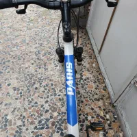 دوچرخه ۲۶ ویوا|دوچرخه، اسکیت، اسکوتر|رشت, حومه رشت|دیوار