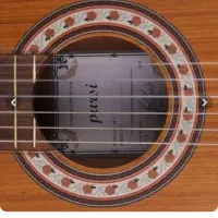 گیتار کلاسیک  پارسی m5|گیتار، بیس، امپلیفایر|همدان, |دیوار