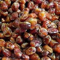 کارون کوت عبدالله جنگیه روستای ابودبس