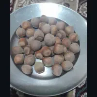 فندق تازه طارم|خوردنی و آشامیدنی|کرج, آق تپه|دیوار