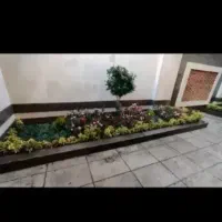 باغبانی و کار های باغچه