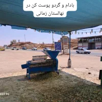 پوسته بادام جهت خوراک دام