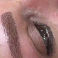 میکرو ابرو و شیدینگ لب