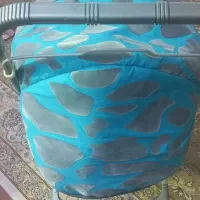 کالسکه دلیجان جنس اصلی|کالسکه و لوازم جانبی|سقز, |دیوار