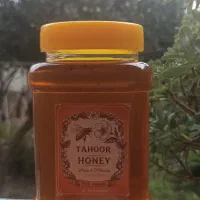 عسل طهور بدون شکر با برگه آزمایش|خوردنی و آشامیدنی|رشت, کوی غلام نیا|دیوار