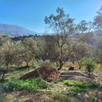 خانه باغ|فروش خانه و ویلا|توتکابن, |دیوار