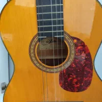گیتار ak20