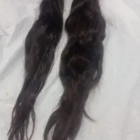 صادر کننده مو