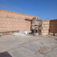 خروس جوان