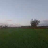 دو قطعه زمین به مساحت ۴۵۰متر و ۱۵۰۰مترروستای نوچمن