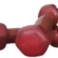 چهار عدد دمبل