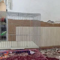 قفس فروشی|لوازم جانبی حیوانات|زابل, |دیوار