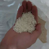 برنج درگز درجه یک