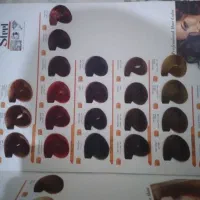 کاتالوگ رنگ مو|آرایشی، بهداشتی، درمانی|گرگان, |دیوار