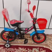 دوچرخه ۱۲ و ۱۶