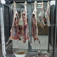 گوشت گوساله. وبره نرینه|خوردنی و آشامیدنی|بجنورد, |دیوار