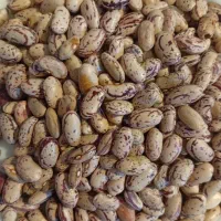 حبوبات درجه یک تازه و زودپز