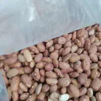 لوبیا چیتی|خوردنی و آشامیدنی|اهواز, کوی نیرو|دیوار