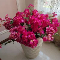 گل کاغذی زیبا بدون گلدان