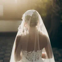 لباس عروس|لباس|ساری, |دیوار