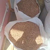 پوشال چوب