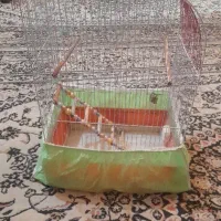 قفس پرنده