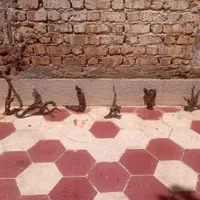 ریشه و تنه درخت آبنوس|ماهی|شیراز, شهرک سراج|دیوار