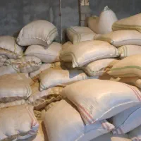 کاه دیم سفید گندم درجه یک فریدن