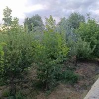 363متر جابان (دماوند)+انشعابات|فروش زمین و ملک کلنگی|دماوند, دماوند|دیوار