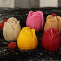 سرای شمع|صنایع دستی و سایر لوازم تزئینی|قم, ولیعصر|دیوار