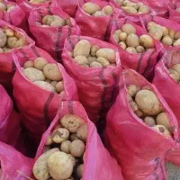 گونی دست دوم و نو در انواع و اقسام