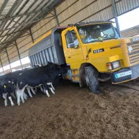 اسکانیا دهچرخ بنیادی مدل ۷۱|خودرو سنگین|دهگلان, |دیوار