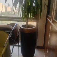 گل وگلدان