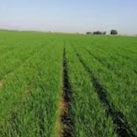 فروش-زمین-کشاورزی