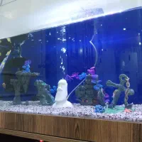 آکواریوم شیشه خم با لوازم و میز