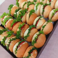 آشپزی وشیرینی پزی در منزل|خدمات پذیرایی، مراسم|اراک, |دیوار