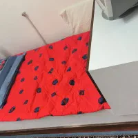 تخت یک نفره ، تخت کودک و نوجوان