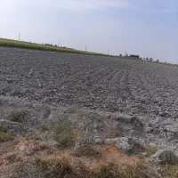 زمین-باغی-یا-کشاورزی