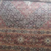 قالی تمیز و قشنگ|فرش|اهواز, چهارصد دستگاه|دیوار