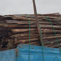 چوب خشک و تر