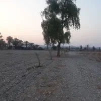 اجاره زمین کشاورزی قلعه قاضی