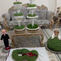 سبزه طبیعی و مصنوعی