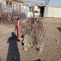 جوشکاری حفاظ