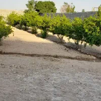 فروش باغ ۷۵۰متری|فروش زمین و ملک کلنگی|اصفهان, زیار|دیوار