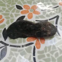 قدیمی|کلکسیون اشیاء عتیقه|تویسرکان, |دیوار