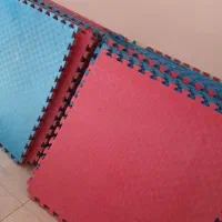 تاتامی سرخابی و آبی