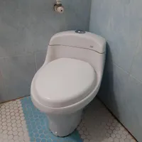 توالت فرنگی