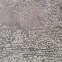 فرش|فرش|رشت, جهاد|دیوار
