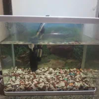 اکواریم باوسایل کامل