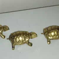 لاک پشت برنجی|مجسمه، تندیس، ماکت|اردبیل, |دیوار